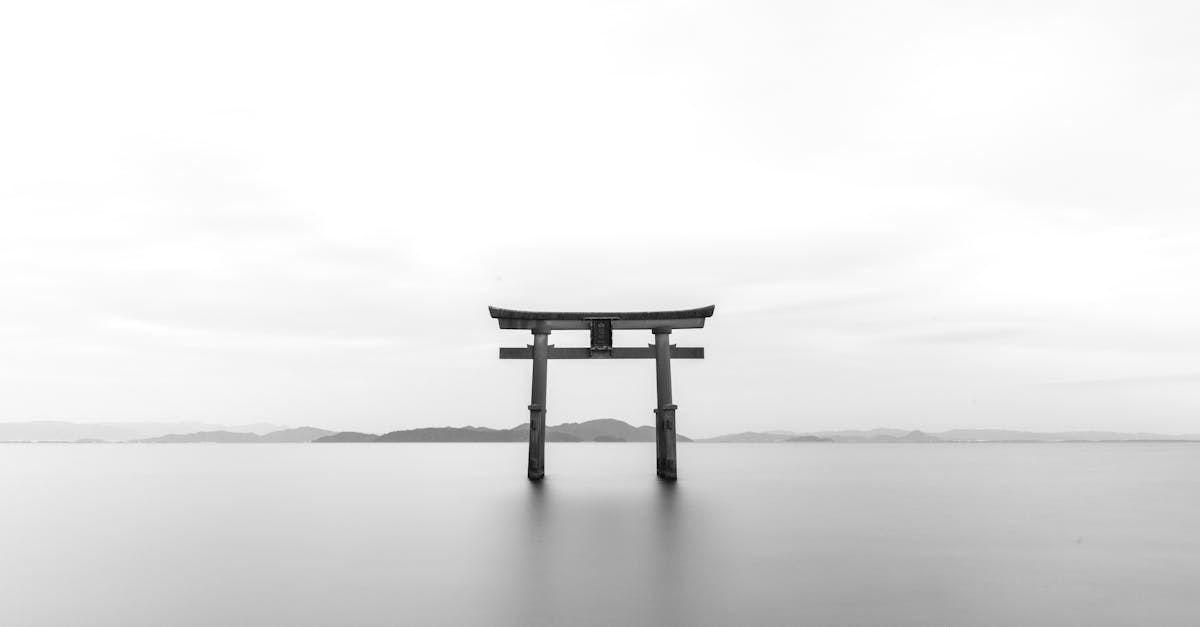 découvrez l'univers fascinant de la culture, où l'art, la musique, la littérature et les traditions s'entrelacent pour façonner notre identité et enrichir nos vies. explorez les différentes expressions culturelles à travers le monde et plongez dans cette diversité qui nous unit.