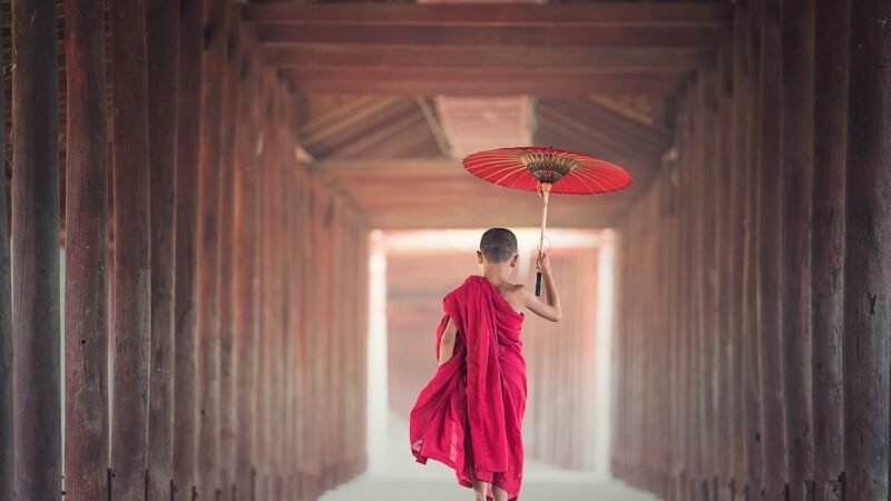 Comment la culture influence-t-elle le comportement ?