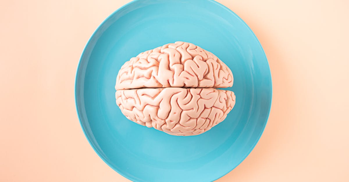 découvrez l'importance de la psychologie éducative dans l'apprentissage et le développement des enfants. explorez des stratégies et des outils pour améliorer l'enseignement et favoriser un environnement d'apprentissage positif.