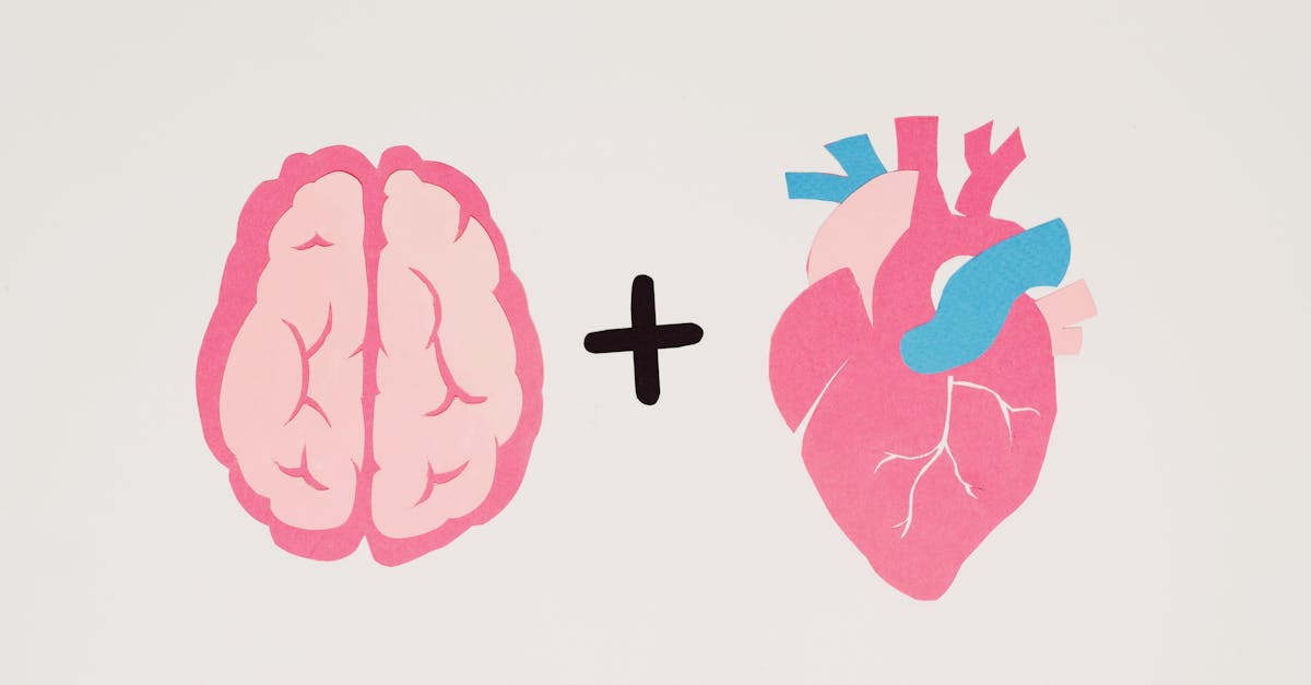 découvrez les principes fondamentaux de la psychologie éducative, une discipline qui explore la manière dont les individus apprennent et se développent dans des contextes éducatifs. plongez dans des stratégies d'enseignement efficaces, des approches psychologiques et des recherches récentes favorisant l'apprentissage et le bien-être des élèves.