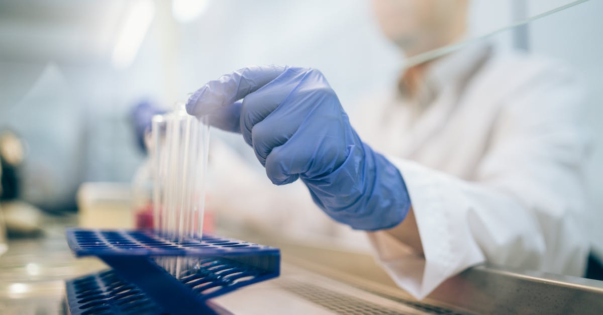 découvrez les différentes méthodes de recherche utilisées dans les sciences sociales et naturelles. apprenez à choisir la méthode appropriée pour vos études et à analyser les résultats de manière efficace.