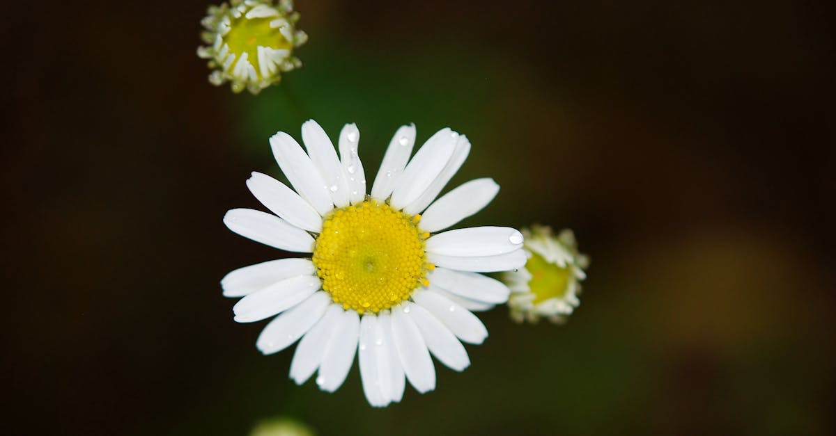 découvrez la véritable essence de l'amour à travers des histoires touchantes et des réflexions profondes sur la passion et la connexion entre deux âmes. true love explore les différentes facettes du grand amour et vous invite à vivre une expérience émotionnelle unique.
