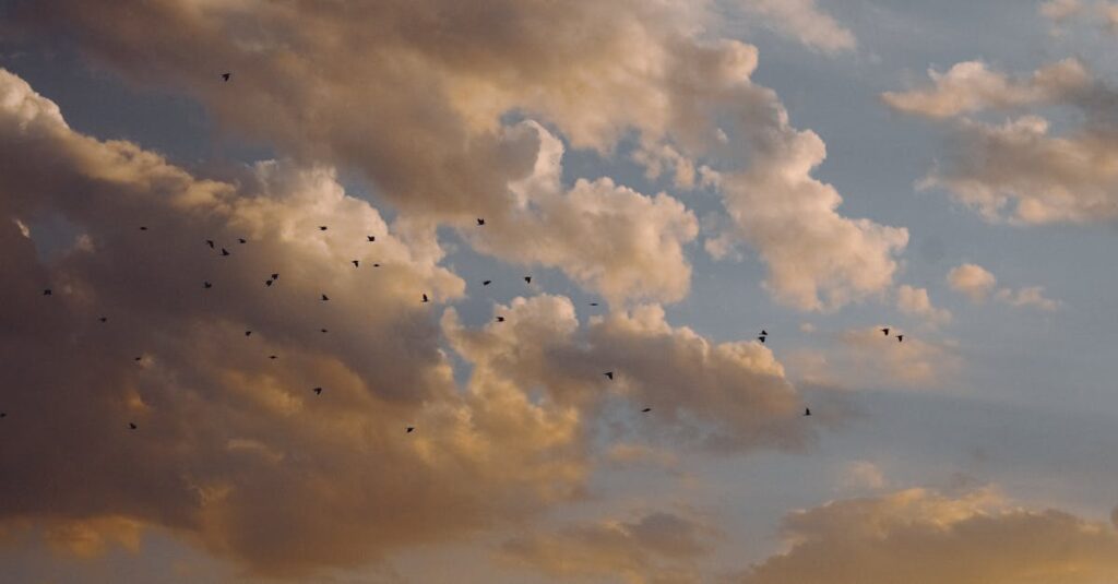 signes d'instabilité émotionnelle et comment les surmonter