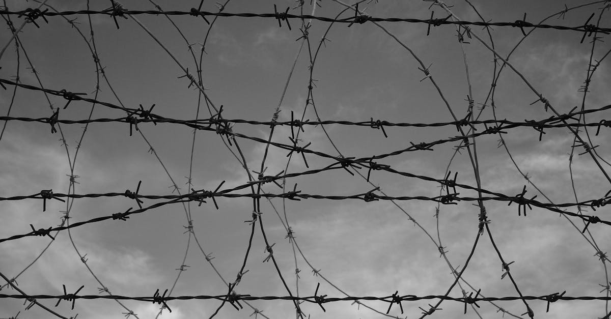 découvrez comment surmonter les obstacles émotionnels qui freinent votre bien-être et votre épanouissement. apprenez des stratégies efficaces pour gérer vos émotions et avancer sereinement dans votre vie quotidienne.