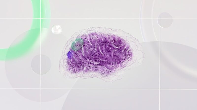 Les différences entre le cerveau gauche et le cerveau droit