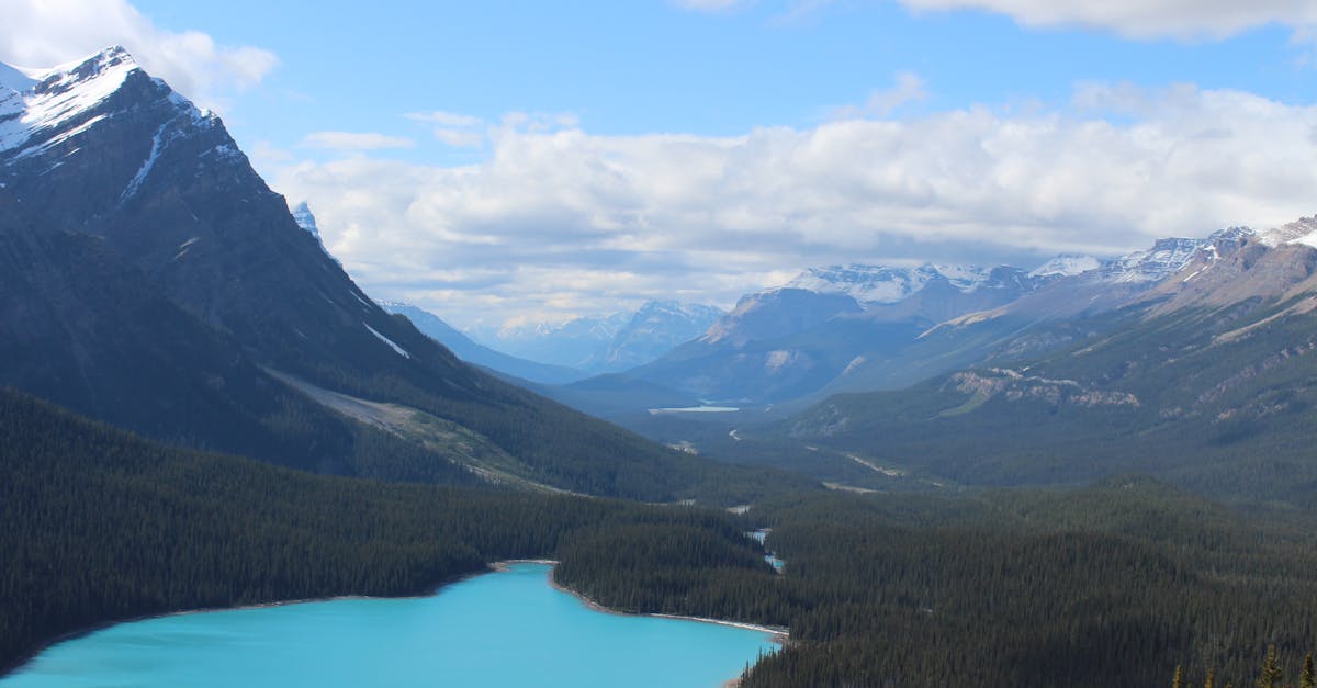 découvrez comment l'harmonie peut transformer votre vie, équilibrer vos relations et favoriser le bien-être au quotidien. conseils, astuces et inspirations pour vivre en harmonie avec vous-même et votre environnement.