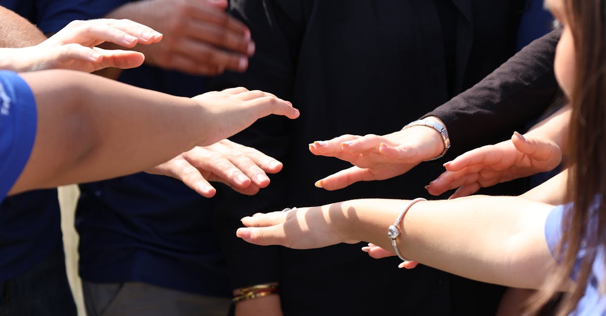 découvrez l’harmony, cet équilibre parfait entre bien-être, sérénité et beauté. explorez nos conseils et astuces pour vivre en harmonie au quotidien.