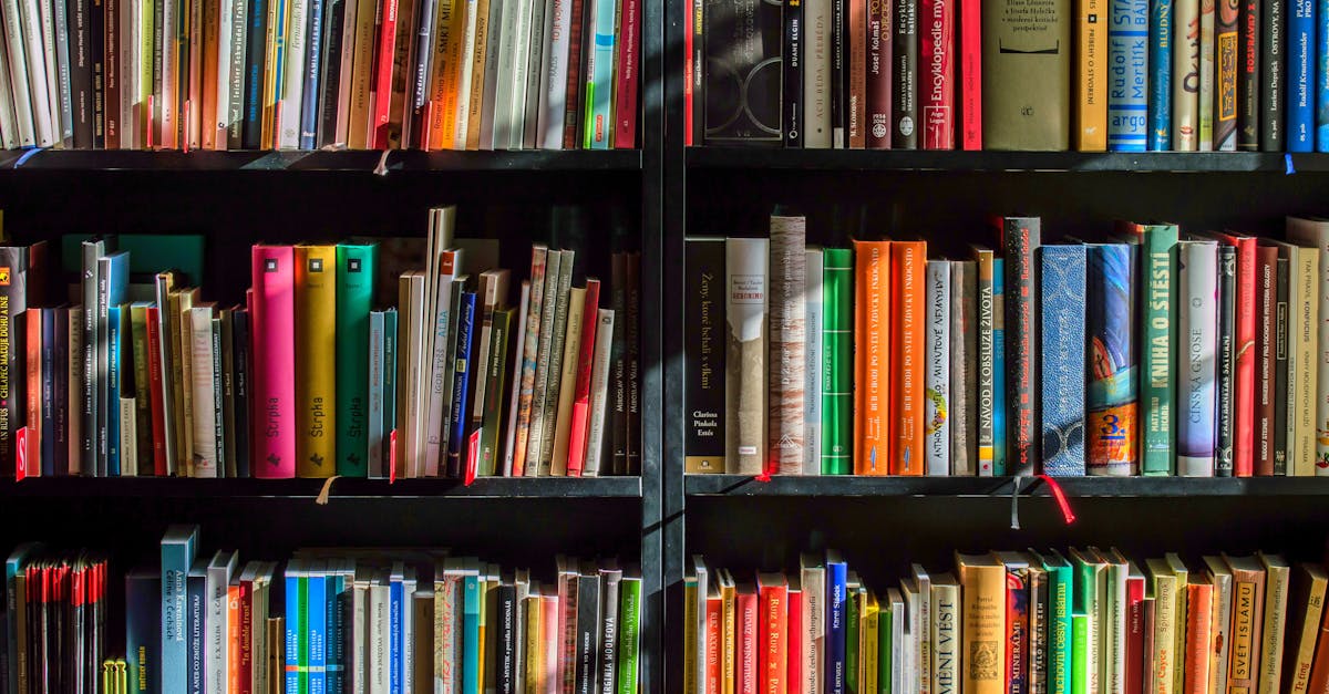 découvrez comment développer et valoriser votre potentiel intellectuel grâce à des conseils pratiques, des stratégies d'apprentissage et l'exploration des capacités cognitives. boostez votre réussite personnelle et professionnelle !
