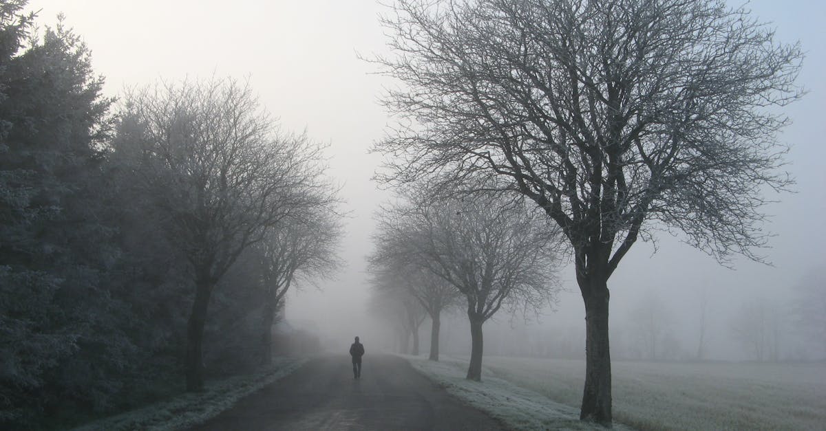 découvrez les causes, les effets et les solutions face à la solitude. conseils, explications et ressources pour mieux comprendre et surmonter le sentiment de solitude.