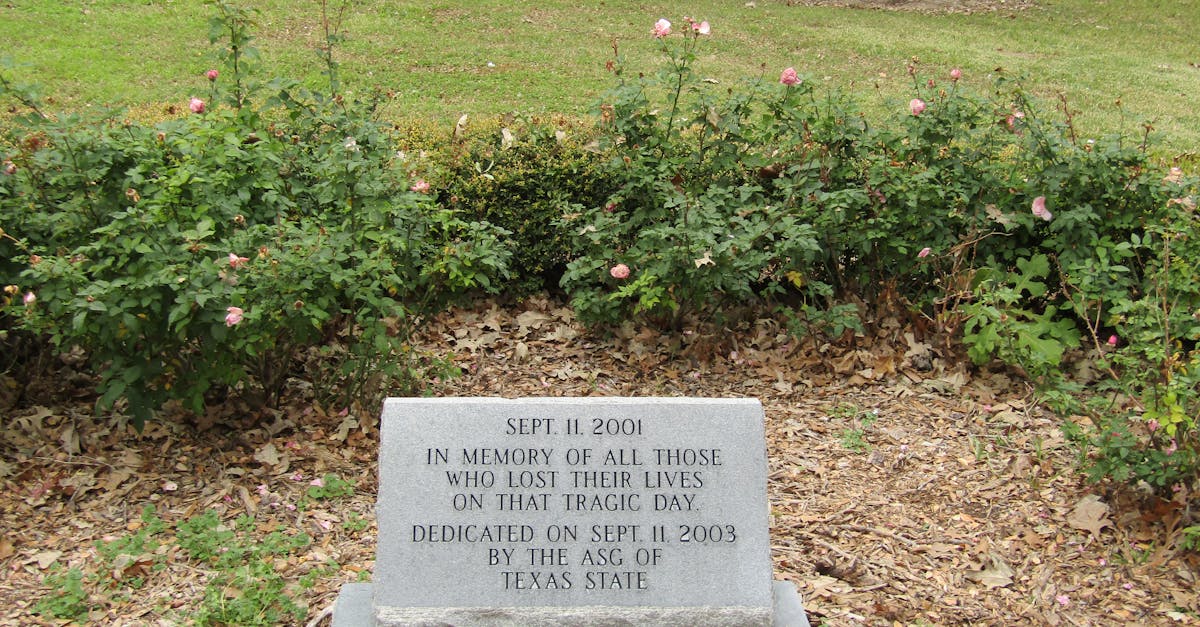 Comprendre le syndrome du jumeau manquant : le défi émotionnel de la perte d’un jumeau