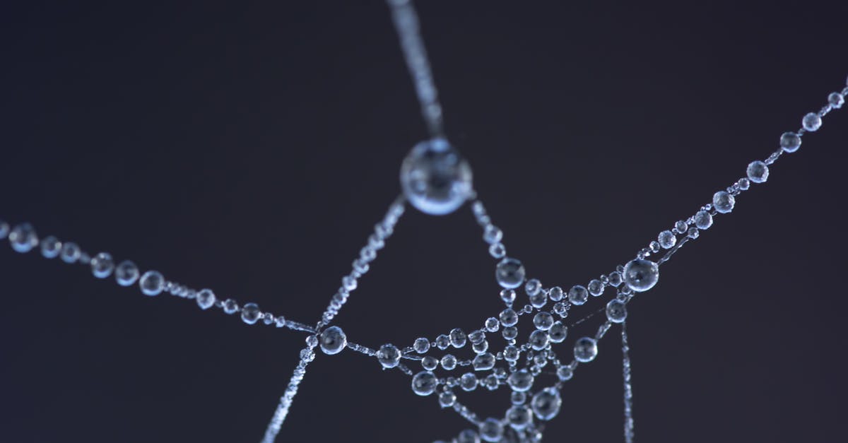 découvrez comment établir une reconnexion efficace, sécurisée et rapide grâce à nos conseils pratiques et ressources dédiées sur toutes les formes de connexion, qu'elles soient numériques ou humaines.