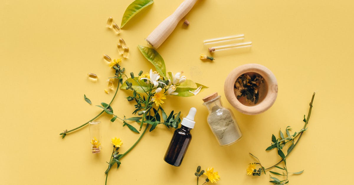 découvrez des remèdes naturels efficaces pour soulager vos maux du quotidien, renforcer votre immunité et améliorer votre bien-être, grâce à des solutions issues de la nature.