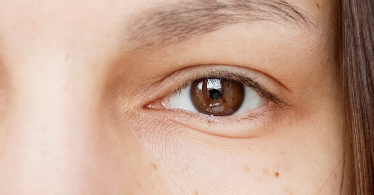 découvrez les principaux traits de la psychopathie, comment les reconnaître et leurs impacts sur le comportement quotidien. informez-vous pour mieux comprendre ce profil psychologique.