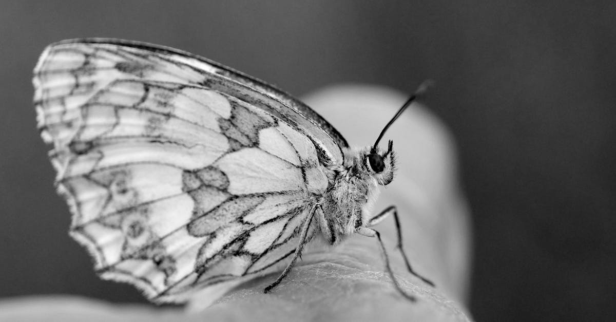 découvrez comment la transformation peut améliorer votre vie personnelle et professionnelle. explorez des conseils, des stratégies et des exemples inspirants pour amorcer et réussir votre propre changement.