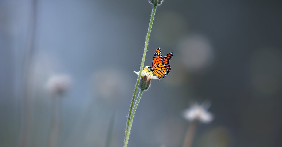 découvrez tout sur la transformation : son importance, ses étapes clés et ses avantages dans la vie personnelle ou professionnelle. des conseils pratiques pour réussir votre propre transformation.