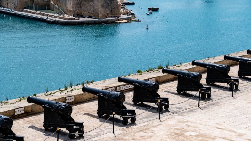 découverte des 12 mécanismes de défense inconscients