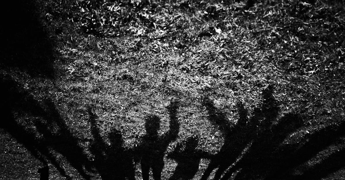 découvrez les mécanismes de la manipulation émotionnelle, comment la reconnaître et s'en protéger pour préserver votre bien-être mental et vos relations.