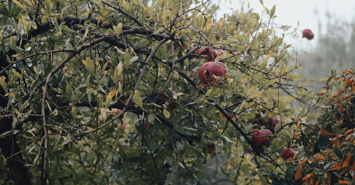 découvrez les clés d'une relation saine et épanouissante pour construire un lien basé sur la confiance, le respect et la communication.