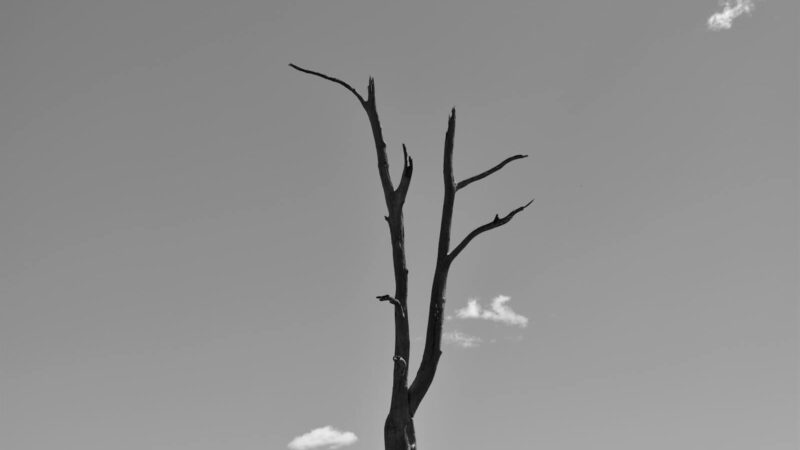 Vertige positionnel : la méthode pour se traiter soi-même, étape par étape