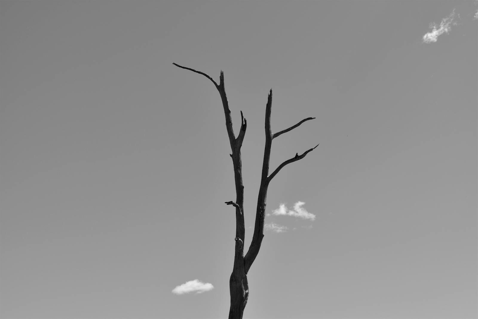 Vertige positionnel : la méthode pour se traiter soi-même, étape par étape