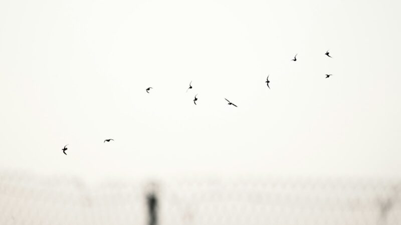 Se libérer d&rsquo;une entité : ce que la science dit vraiment des expériences de présence et de parasitage énergétique