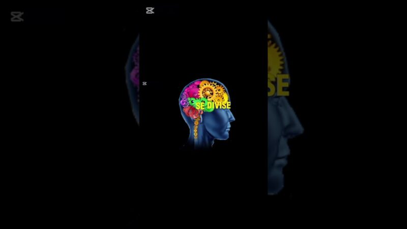 Quelles sont les relations entre psychologie et sociologie ?