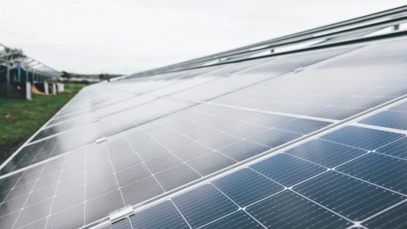 Être solaire, ça s’apprend : ce que disent vraiment les données en psychologie
