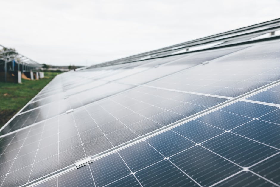 Être solaire, ça s’apprend : ce que disent vraiment les données en psychologie