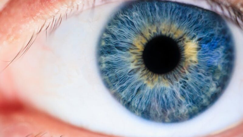 10 signes physiques qui prouvent (scientifiquement) que vous lui plaisez