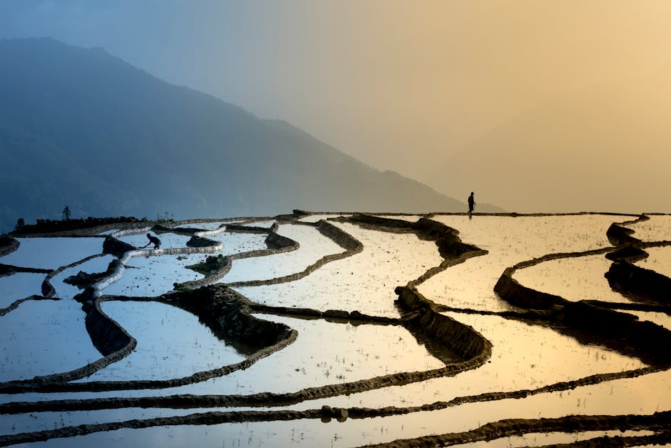 Person standing alone on a mountain at sunrise, reflecting on identity and inner peace