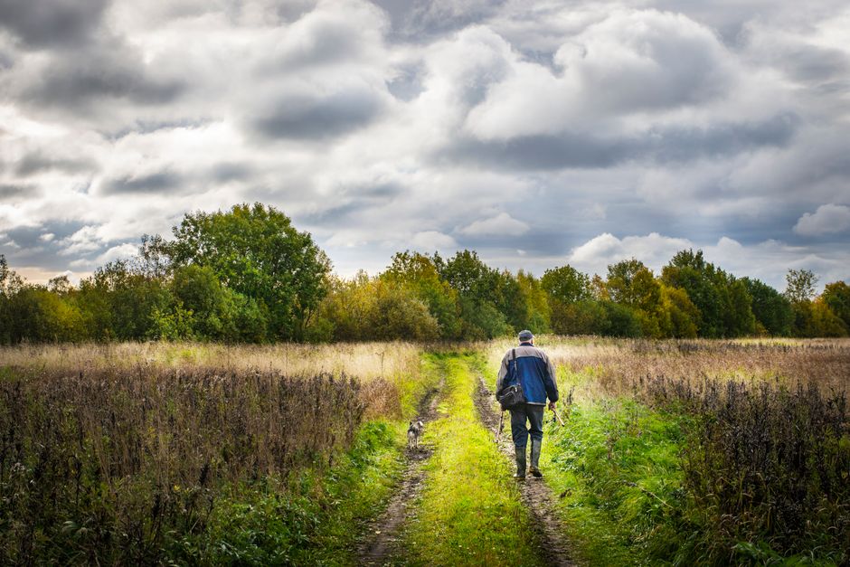 Person walking on a narrow path after a storm, symbolizing resilience and recovery